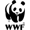 WWF - Client MadCityZen