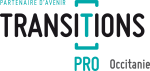 TRANSITIONS PRO