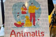 Vue d’ensemble de l’atelier Photo Mosaïque organisé par MadCityZen en entreprise. | © MadCityZen