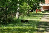 Véritable oasis au cœur de la ville, le jardin d’Oxygène Factory est un espace vivant et ressourçant. Entouré de verdure, il accueille moments de détente, ateliers en plein air ou réceptions informelles, dans une ambiance naturelle et inspirante. | © Oxygène Factory