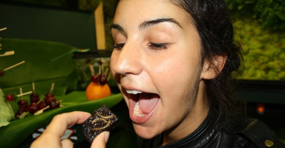 elle-veut-gouter-au-repas-innovation-et-rupture-degustation-d-insectes