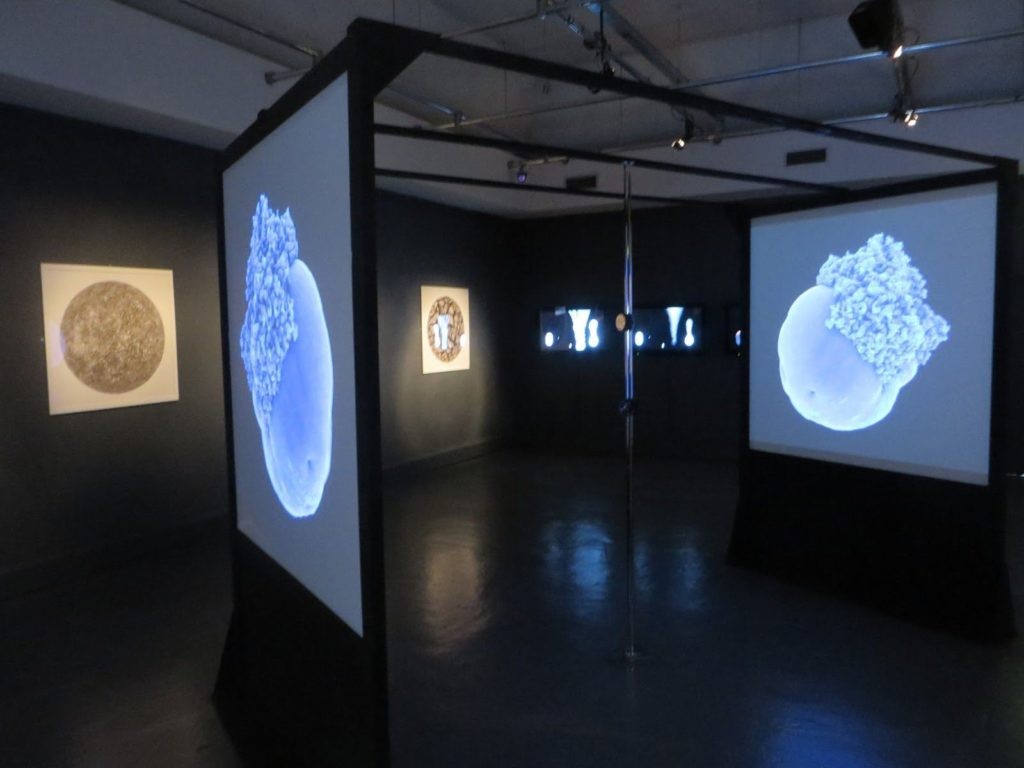 Le monde de l art ANIMATION DIGITALE ET TEAM BUILDING