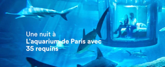 Une chambre au milieu des requins