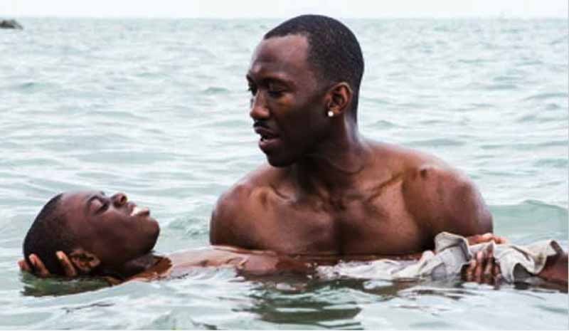 film Moonlight EVENEMENTS POPULAIRES ET INFORMELS