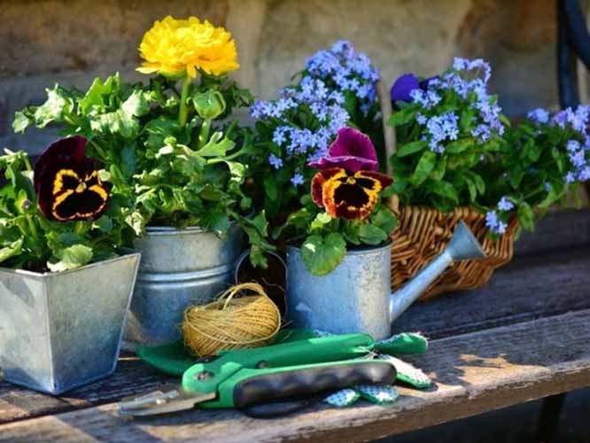 L harmonie d un jardin