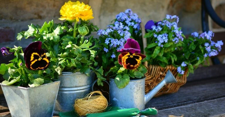 mini-jardins-exterieur-768x400