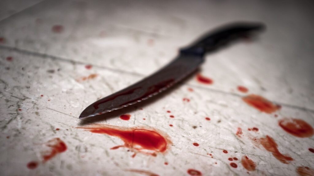 murder-party-Grande-1024x576
