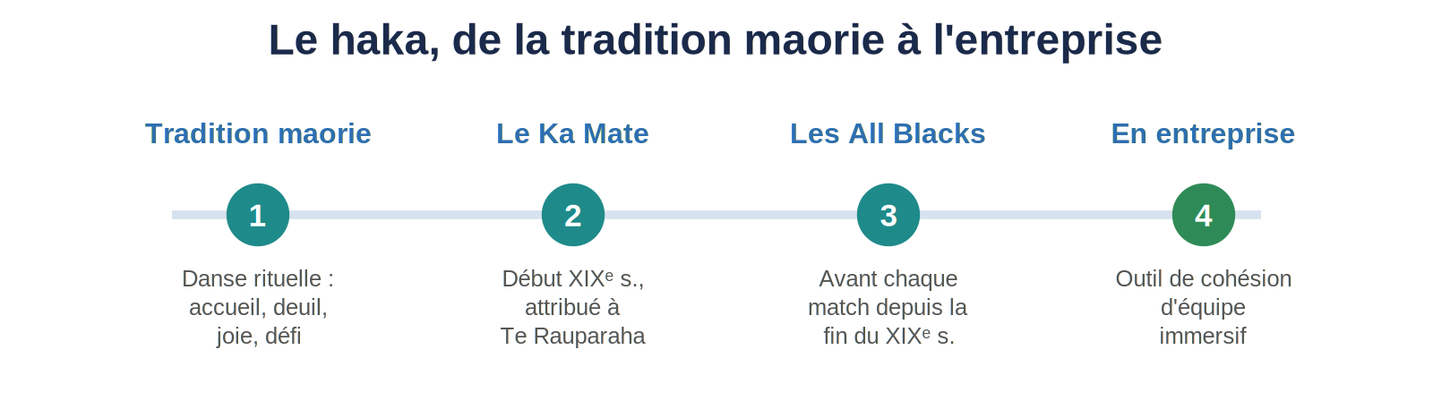 infographie haka frise
