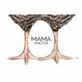 MAMA SHELTER - Partenaire animation team building