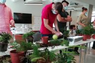 Collaboration autour de la création de mini écosystèmes avec MadCityZen. | © MadCityZen