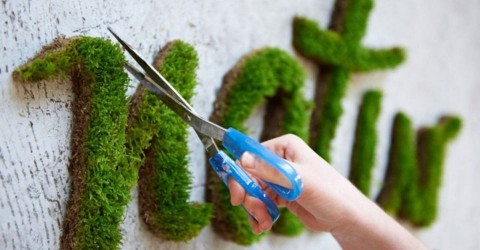 graffiti vegetal developpement durable green tag
