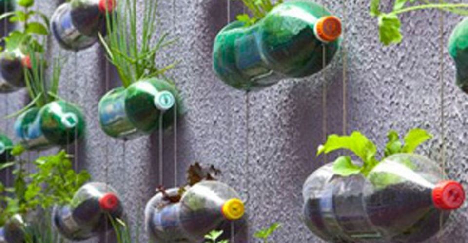bouteilles-remplies-de-terre-et-de-jeunes-plantes-developpement-durable-paris-en-bouteille