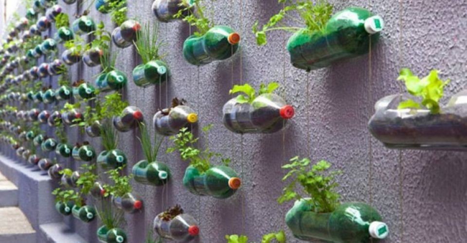 mur-de-plantes-verdoyantes-developpement-durable-paris-en-bouteille